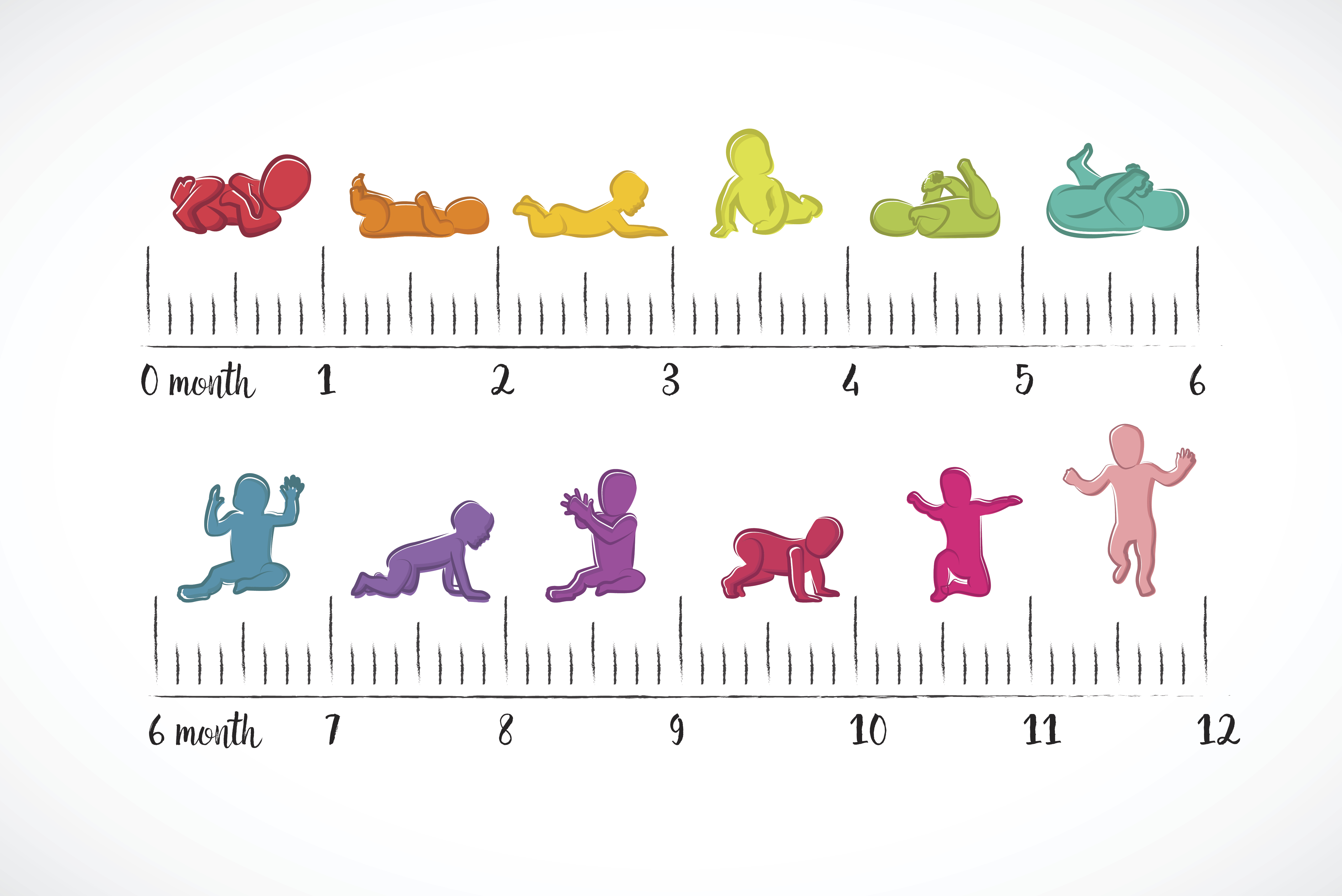 a graphic of a baby's phsyical development portrayed by sillouttes on a ruler